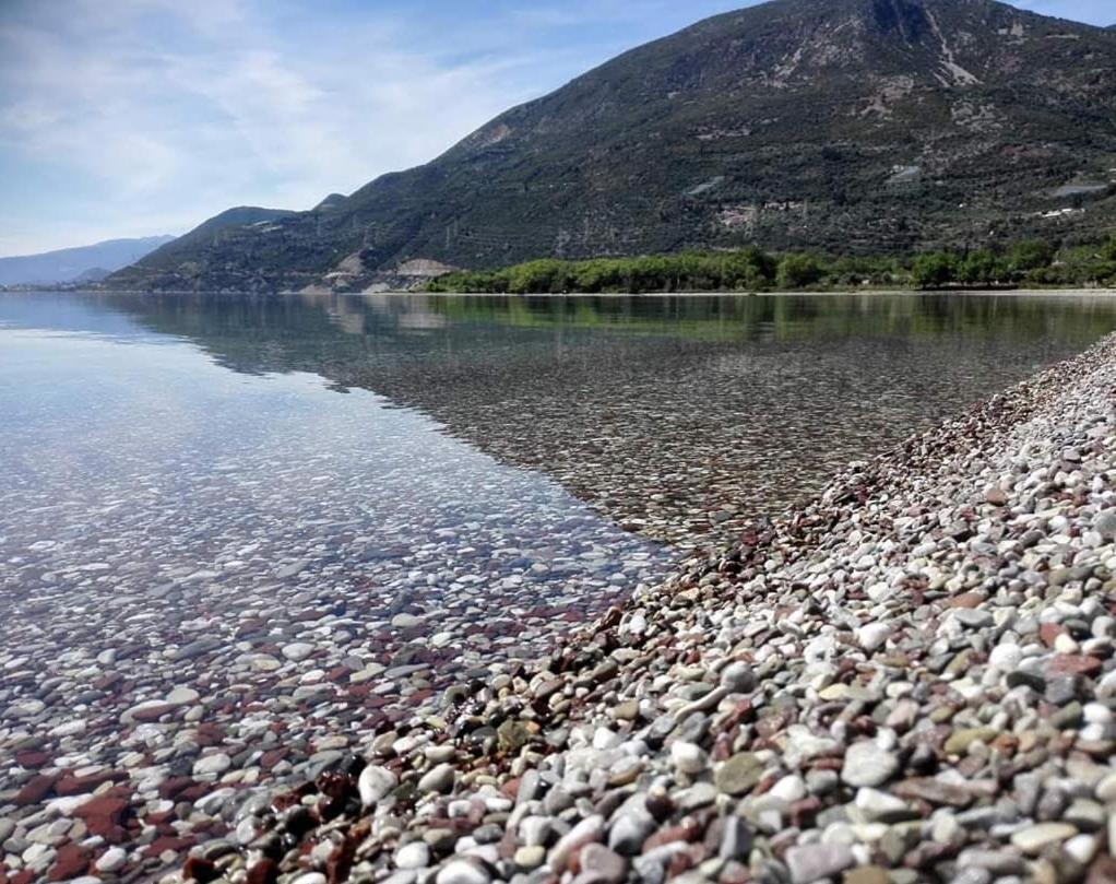 Hotel Theasis Paralia Sergoulas Eksteriør billede